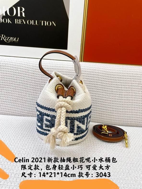 CELINE Handbags 55